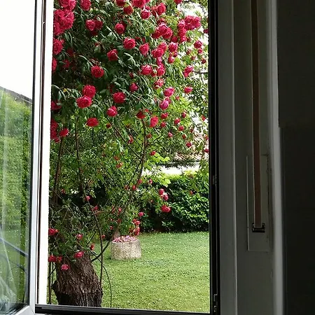 Da Erika Tatil Evi Trieste